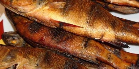 Kako dimiti smuđa toplo i hladno dimljeno